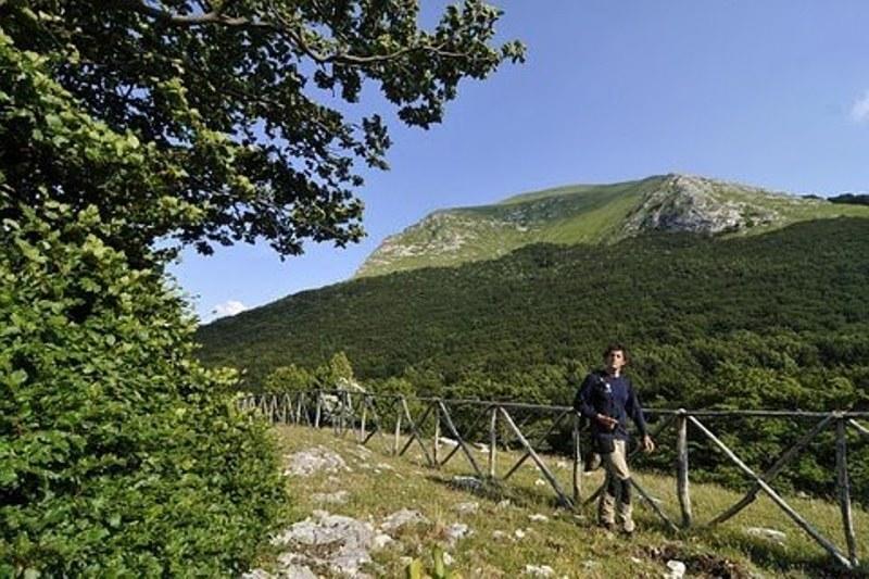 Appartamento Il Grillo Fossato di Vico Pokoj fotografie